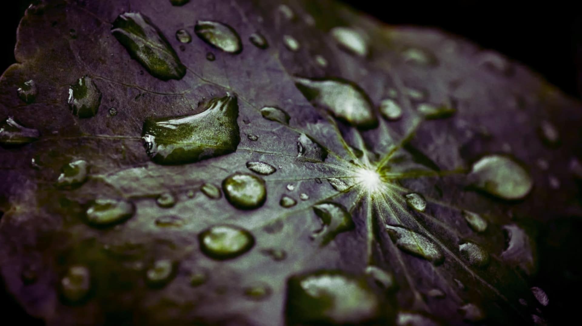 Banner alto pagine portfolio image portfolio page website francescaollin emh guarigione emotiva sessioni individuali