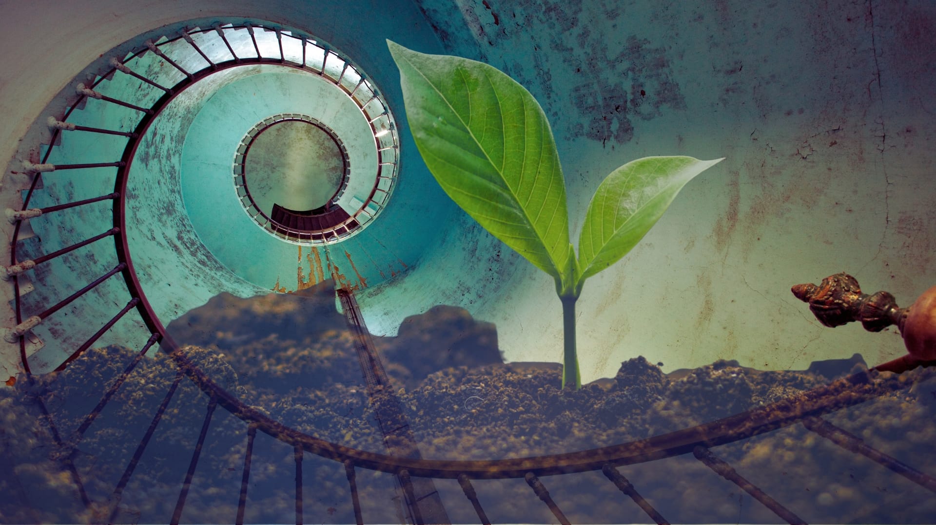 psicobiogenealogia – portfolio page psicobiogenealogia psicogenealogia sistema famiglia terapia sistemica