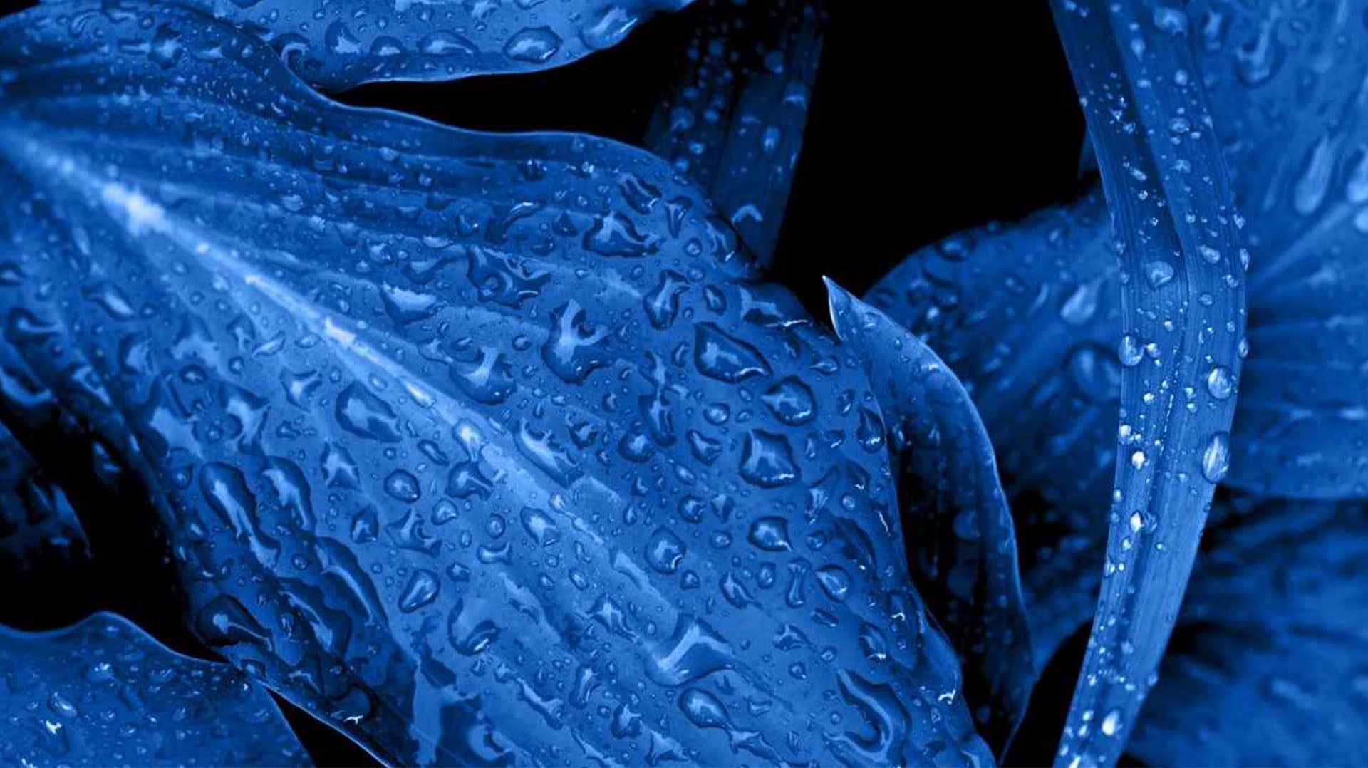 sfondo-bluprintrelease