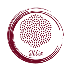 logo header website francescaollin